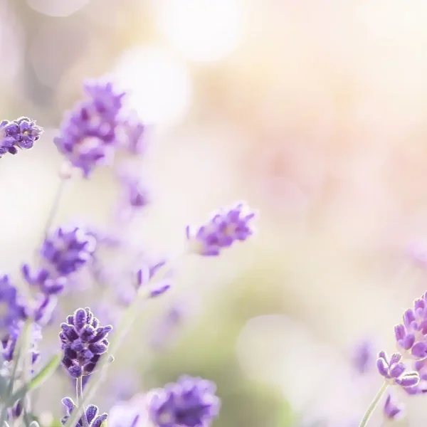 apotheke-varena-image13